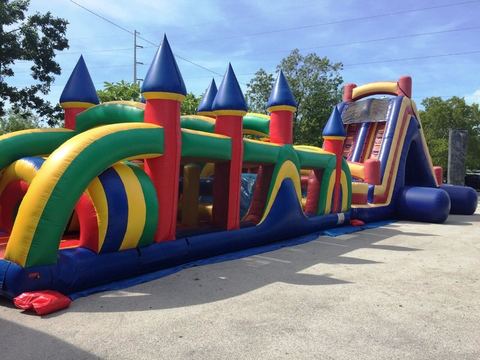 Big Double Slide and Obstacle Course rental