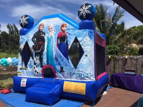 Disney Frozen Bounce House rental