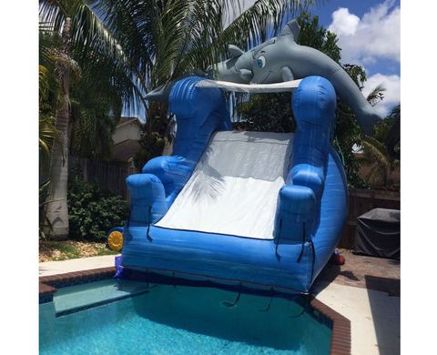 Dolphin Water Slide (without pool) rental