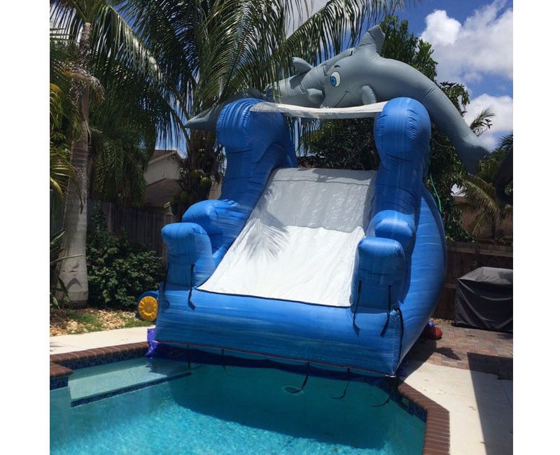 Dolphin Water Slide (without pool) rental in Miami, Broward and Palm Beach