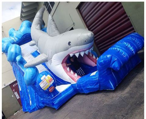 Shark Water Slide rental